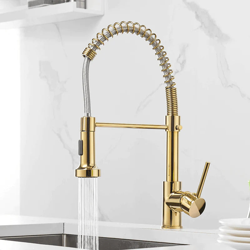 Robinet de cuisine moderne avec tête de douche à ressort extensible