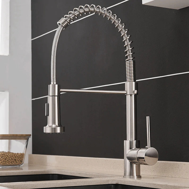 Robinet de cuisine moderne avec tête de douche à ressort extensible