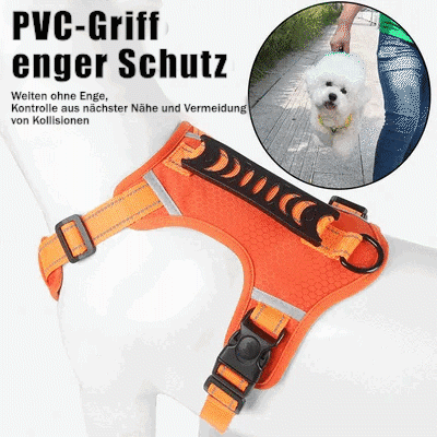 💥Vente de liquidation 49 % DE RABAIS🐕Harnais anti-traction pour animaux de compagnie