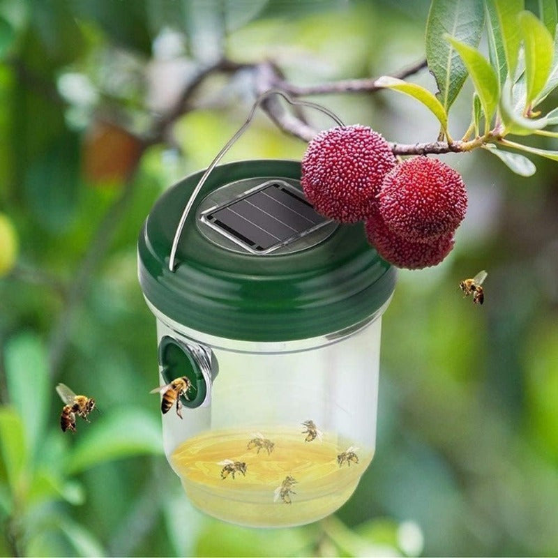 HORNETGUARD – Piège à guêpes extérieur alimenté par énergie solaire