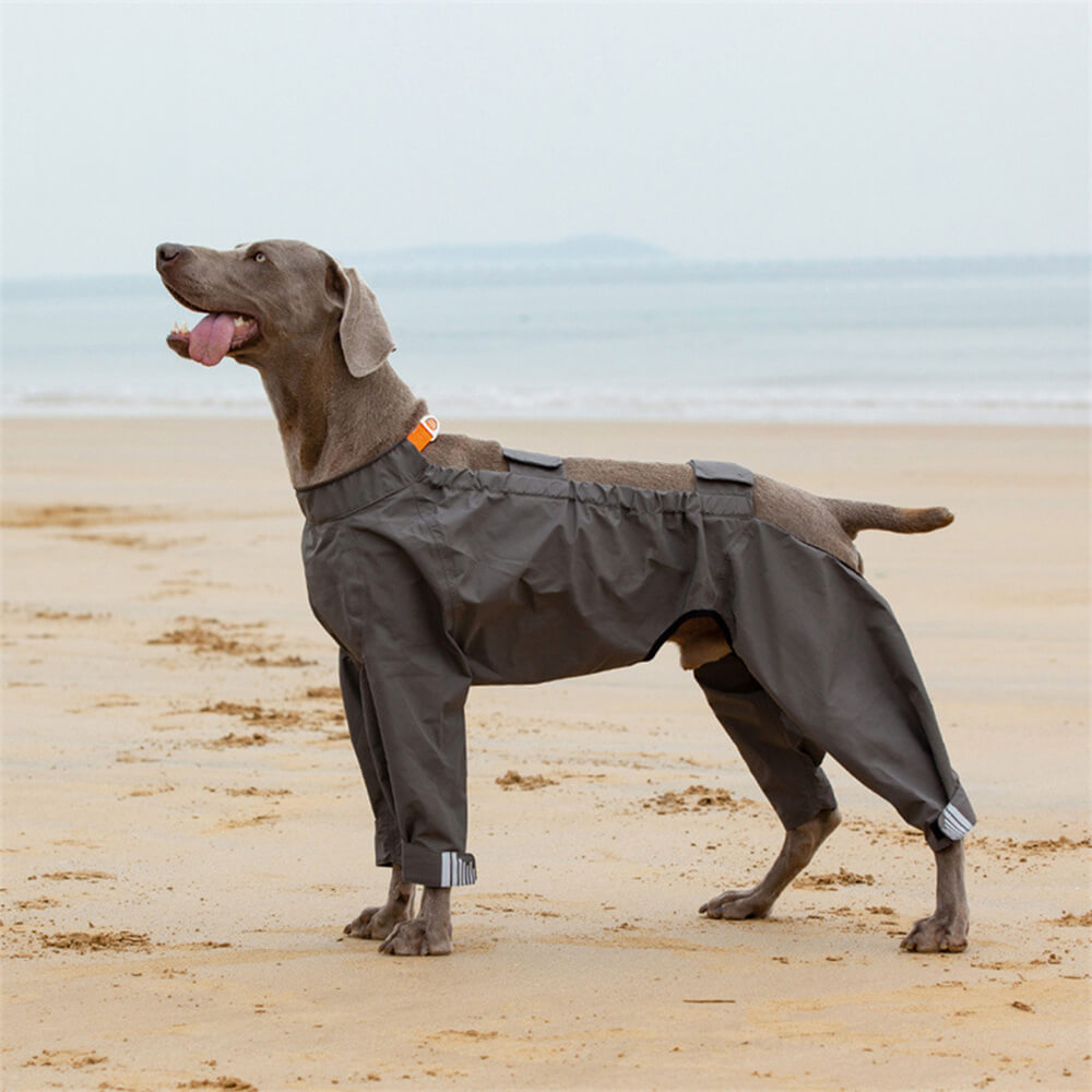 Manteau de pluie pour chien imperméable à quatre pattes avec capuche réfléchissante