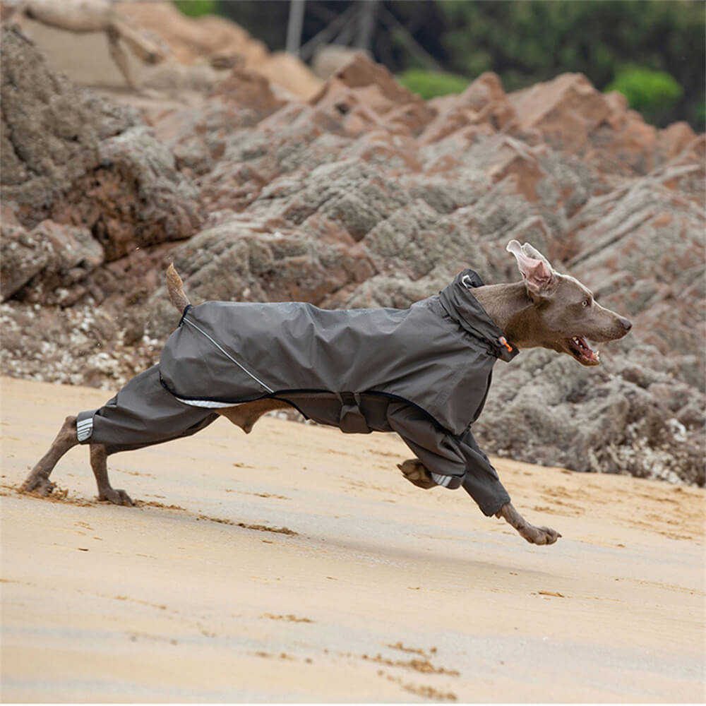 Manteau de pluie pour chien imperméable à quatre pattes avec capuche réfléchissante