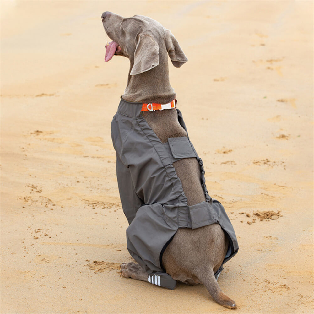 Manteau de pluie pour chien imperméable à quatre pattes avec capuche réfléchissante