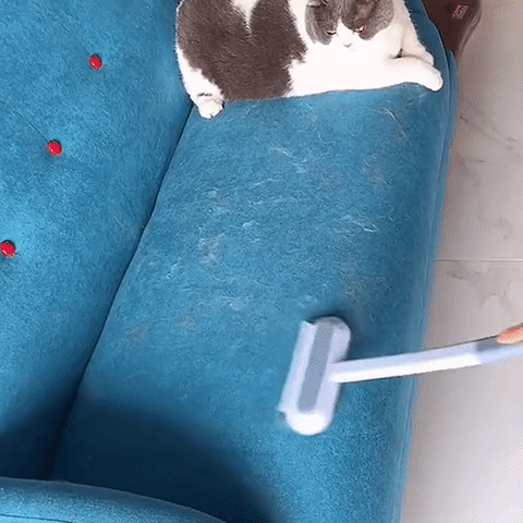 Épilateur de poils d'animaux 3-en-1 - Petclean Pro