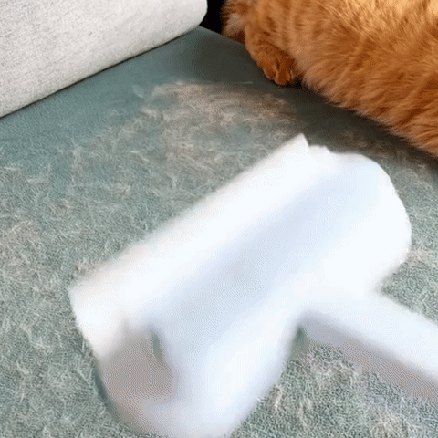Épilateur de poils d'animaux 3-en-1 - Petclean Pro