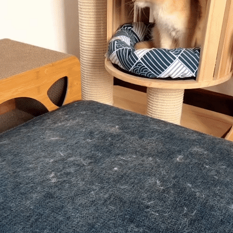 Épilateur de poils d'animaux 3-en-1 - Petclean Pro