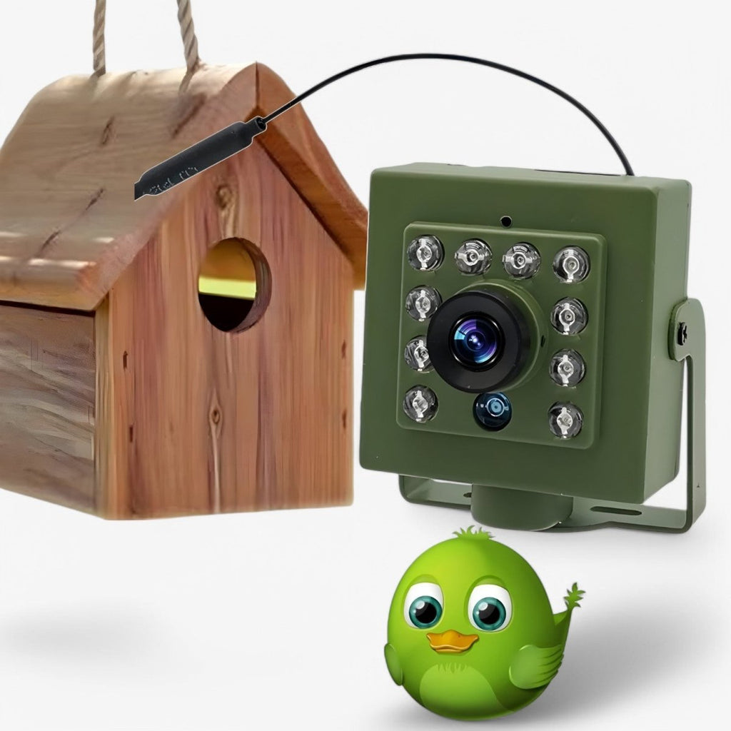 WILDSPY - Caméra de Faune 1080p HD avec Détection de Mouvement AI et Vision Nocturne