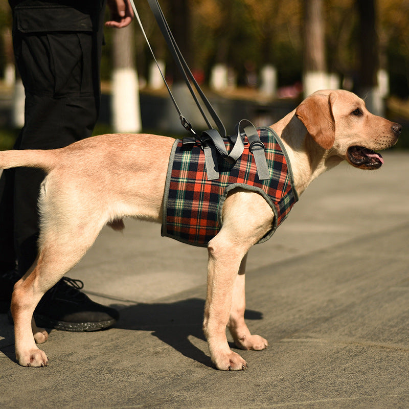 Harnais de levage pour chien avec poignée, sling de récupération pour animaux de compagnie