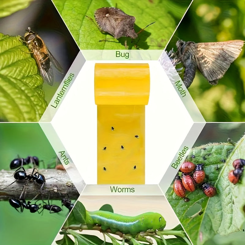 BUGSTRIP – Ruban Barrière Adhésif pour Insectes Extérieurs