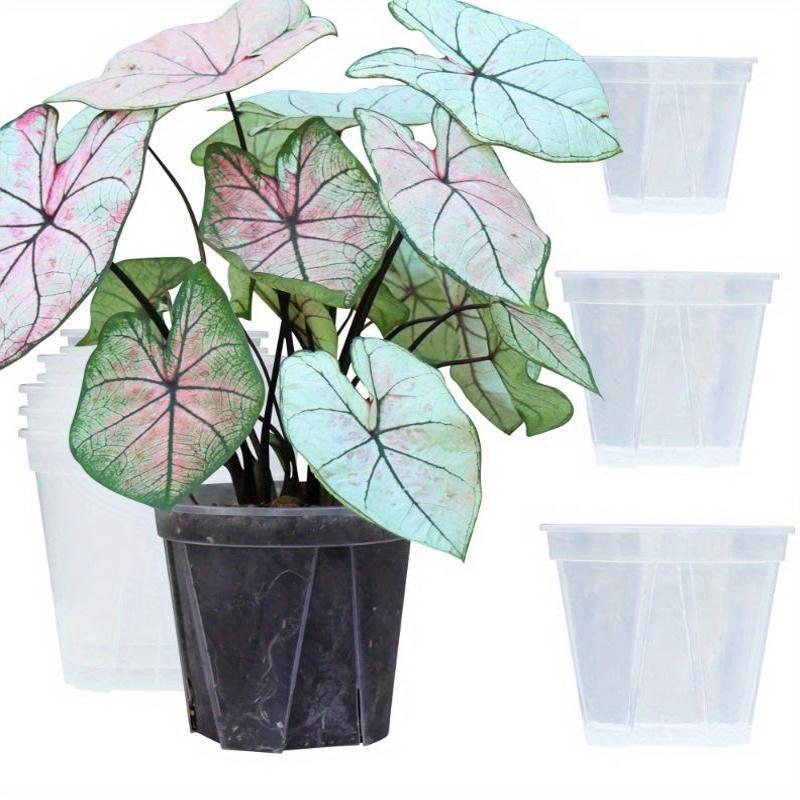 ENSEMBLE CLEARSPROUT – Pots Transparents pour un Suivi Facile des Racines et une Croissance Saine des Plantes