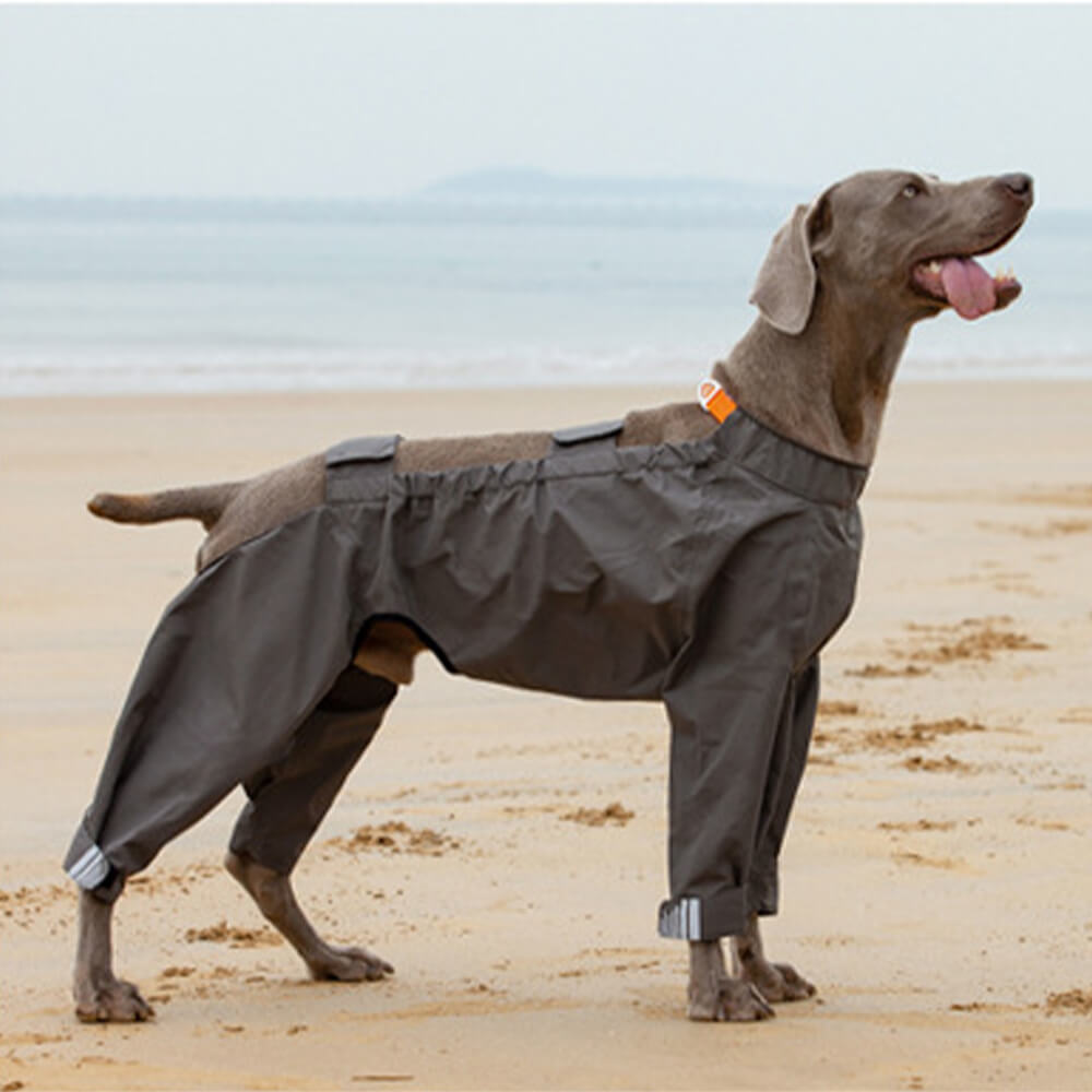 Manteau de pluie pour chien imperméable à quatre pattes avec capuche réfléchissante