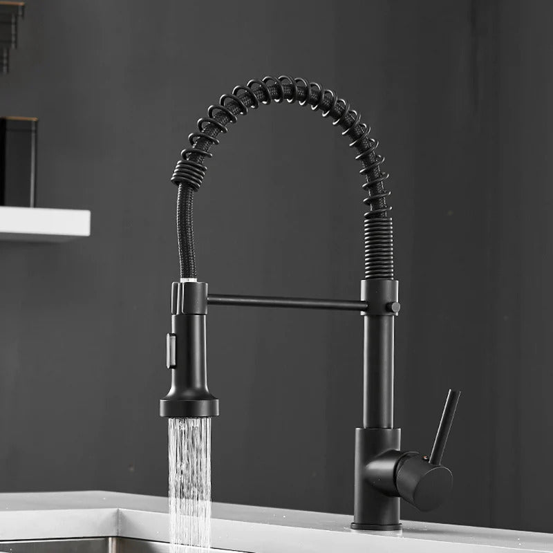 Robinet de cuisine moderne avec tête de douche à ressort extensible