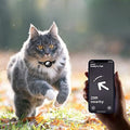 Collier pour Chat avec Verrou de Sécurité - Milo