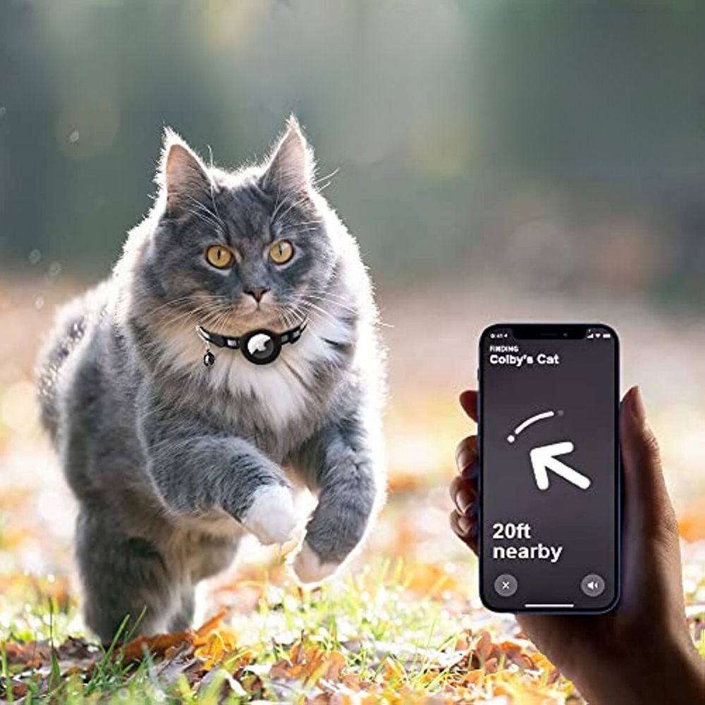 Collier pour Chat avec Verrou de Sécurité - Milo