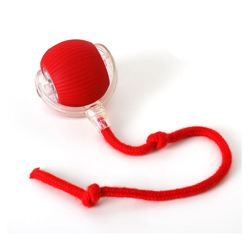 Jouet rebondissant pour chats actifs et curieux