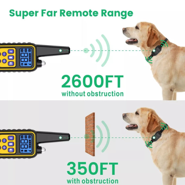 Collier Électrique pour Dressage de Chien – Sûr, Efficace avec Télécommande