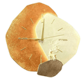 Élégance naturelle au rythme de l'horloge !