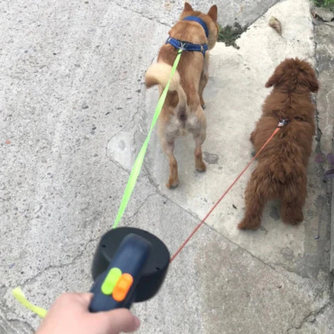UltraTangle™ - Des promenades sans souci pour vous et vos chiens