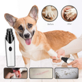 Lime à ongles sans stress pour votre animal de compagnie