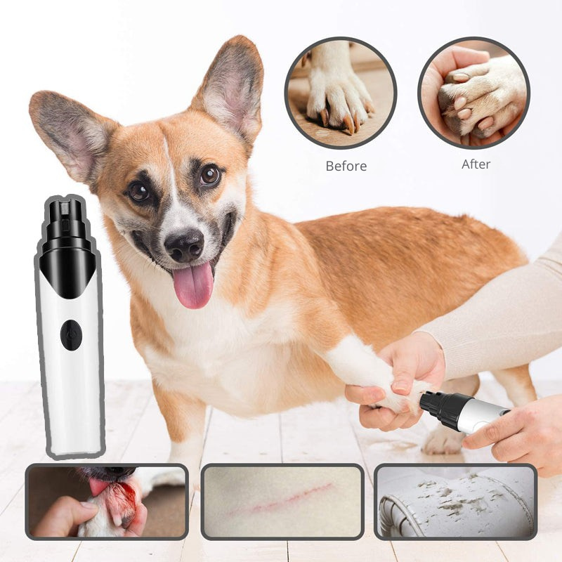 Lime à ongles sans stress pour votre animal de compagnie