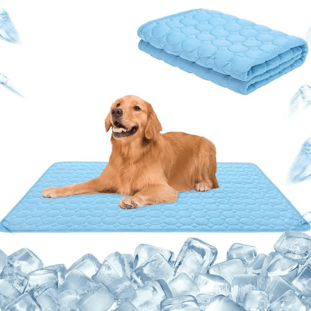 Tapis Auto-refroidissant pour Animaux