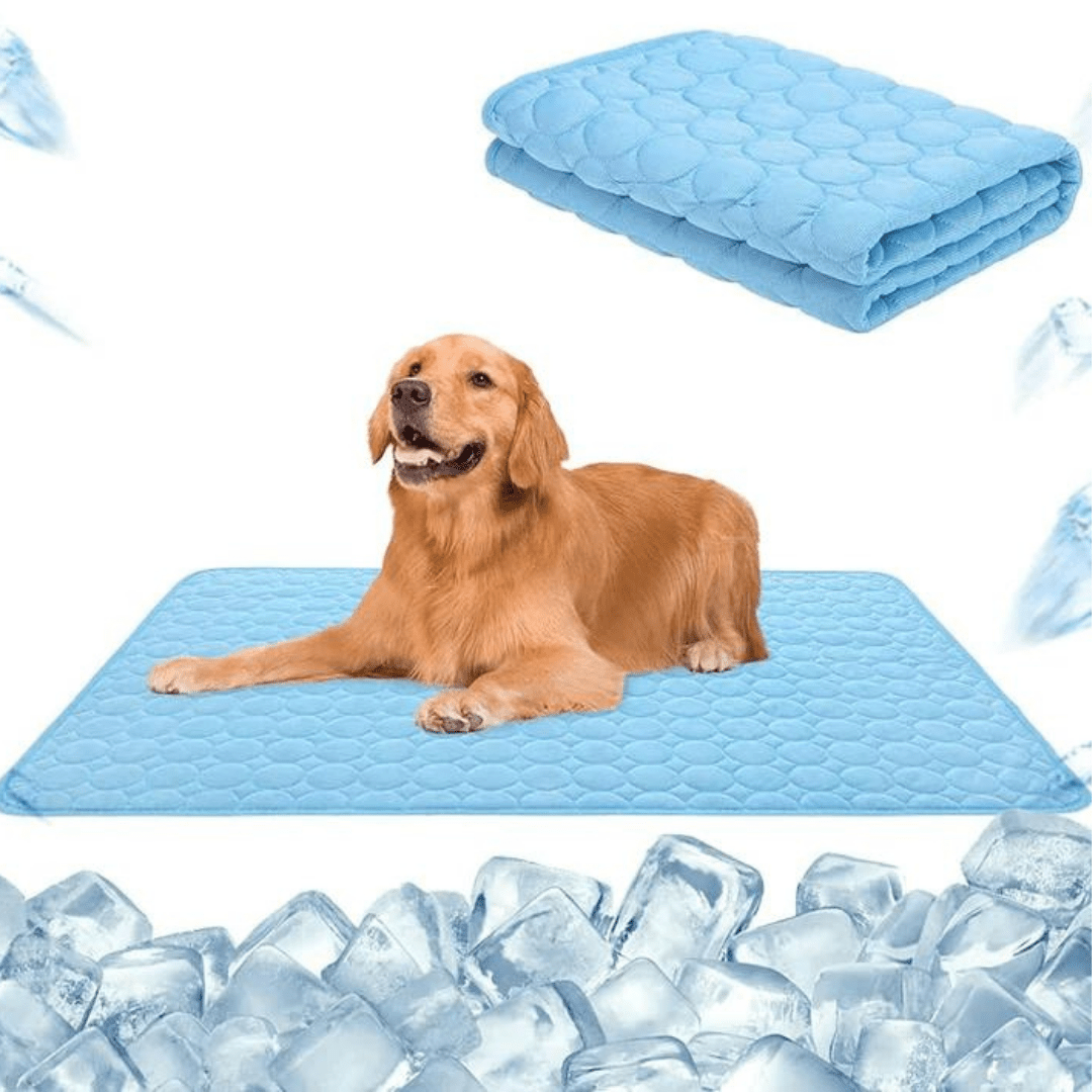 Tapis Auto-refroidissant pour Animaux