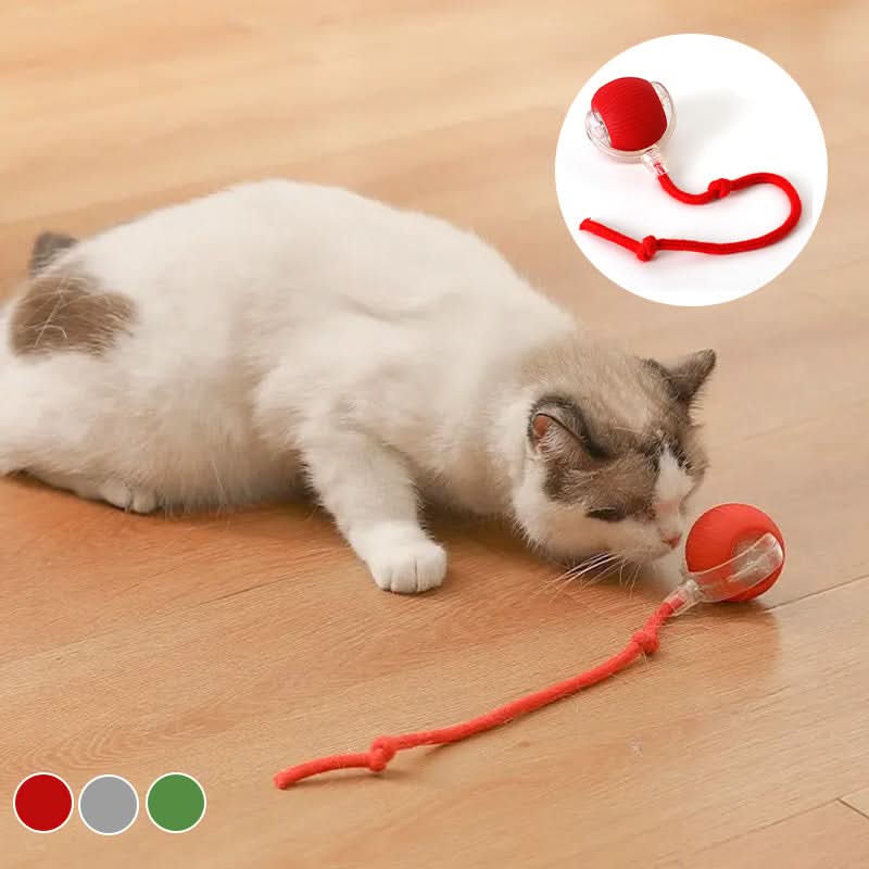 Jouet rebondissant pour chats actifs et curieux