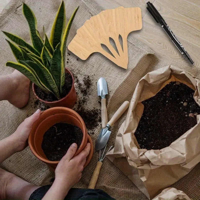 GreenMark – Étiquettes en bois réutilisables comme souvenir durable