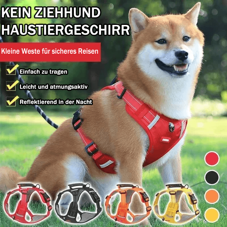 💥Vente de liquidation 49 % DE RABAIS🐕Harnais anti-traction pour animaux de compagnie