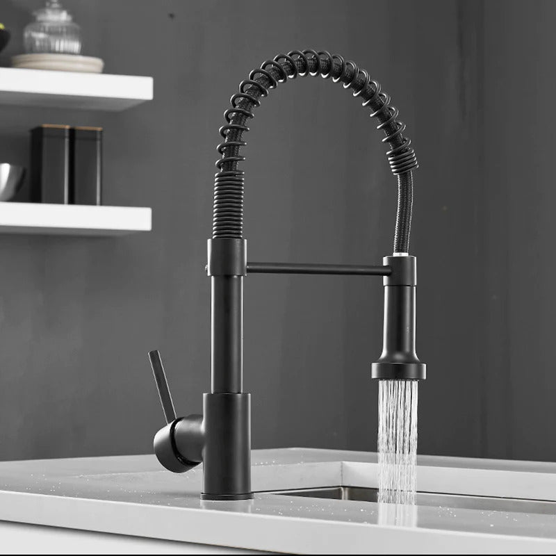 Robinet de cuisine moderne avec tête de douche à ressort extensible