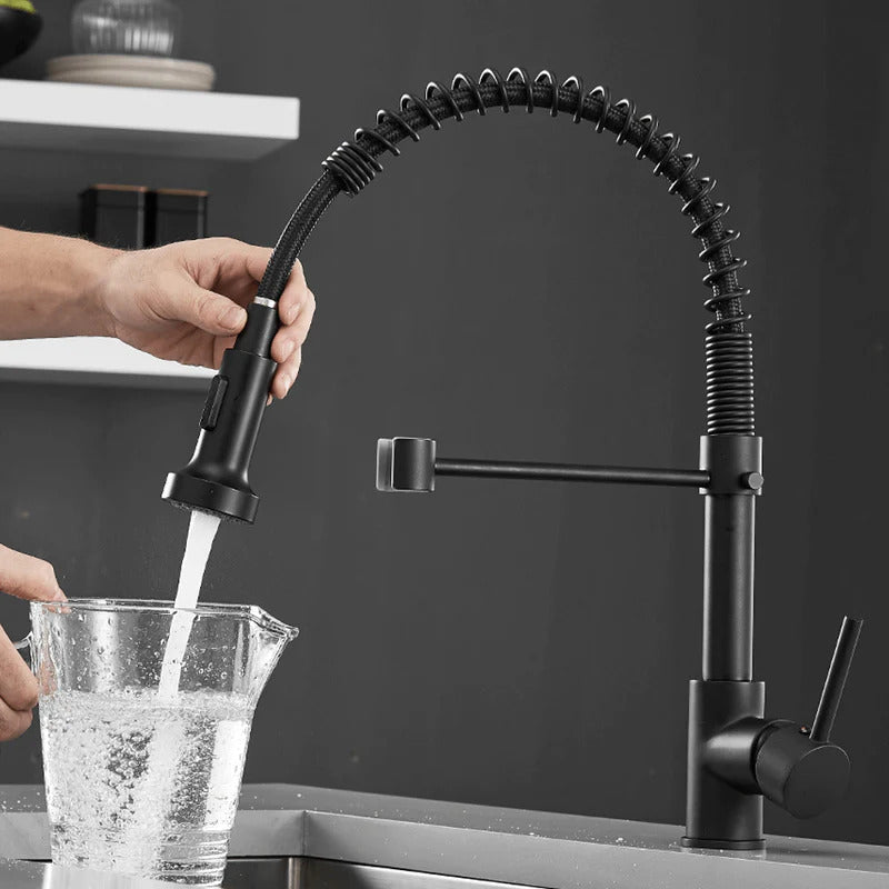 Robinet de cuisine moderne avec tête de douche à ressort extensible