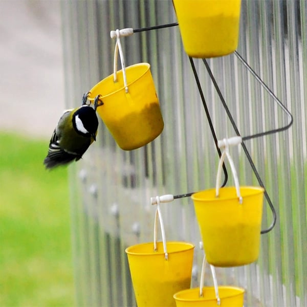 FeederMagic™ | Divertissement pour oiseaux insolite