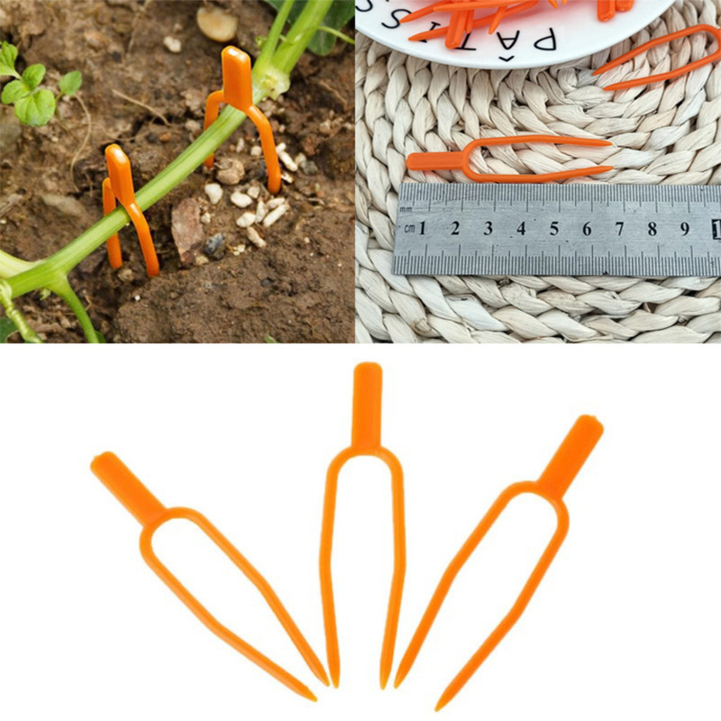 25+25 GRATUIT | EcoStretch – Soutient les plantes pour qu'elles restent droites et en bonne santé toute la saison