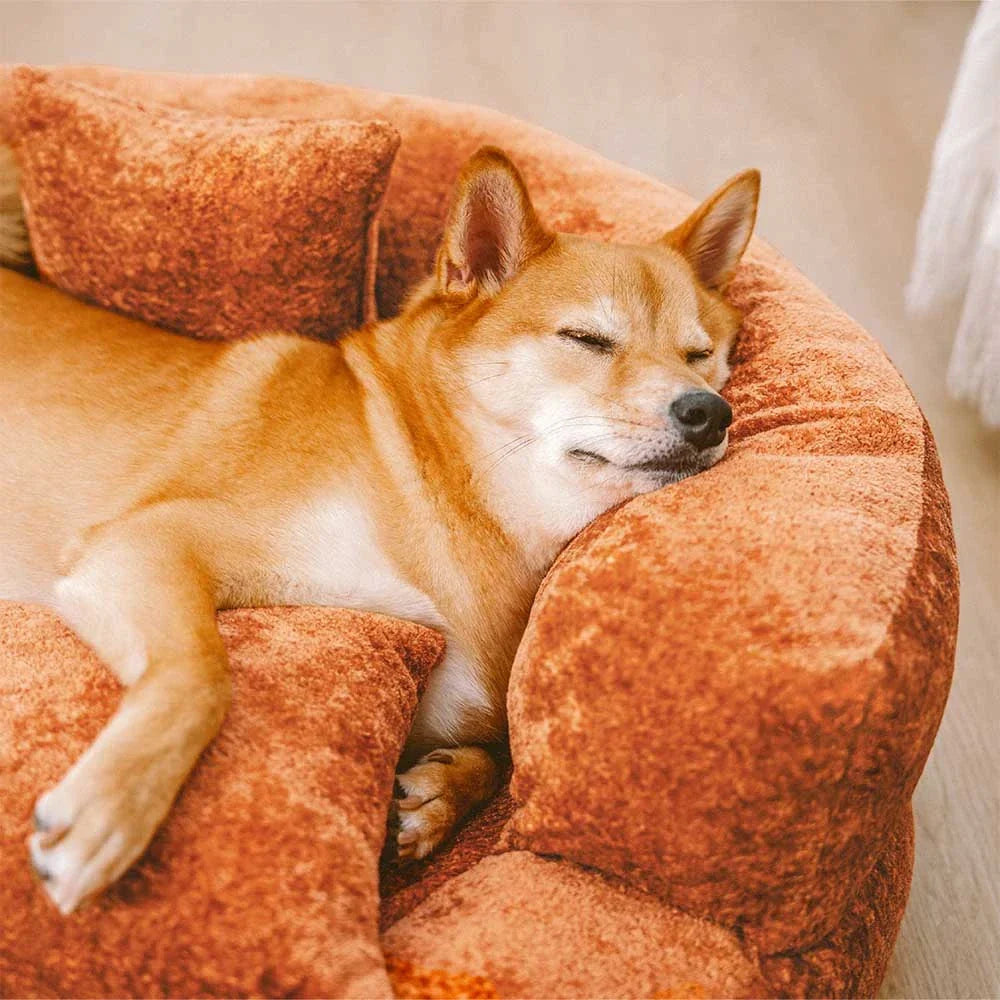 DREAMTAIL – Lit pour animaux en forme de donut avec coussin pour un confort quotidien