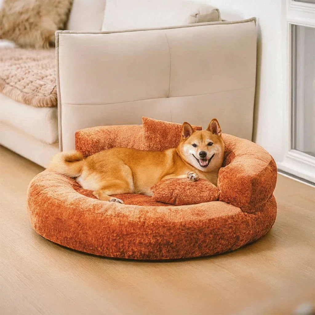 DREAMTAIL – Lit pour animaux en forme de donut avec coussin pour un confort quotidien