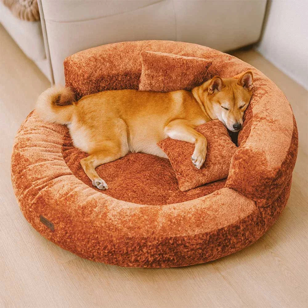 DREAMTAIL – Lit pour animaux en forme de donut avec coussin pour un confort quotidien