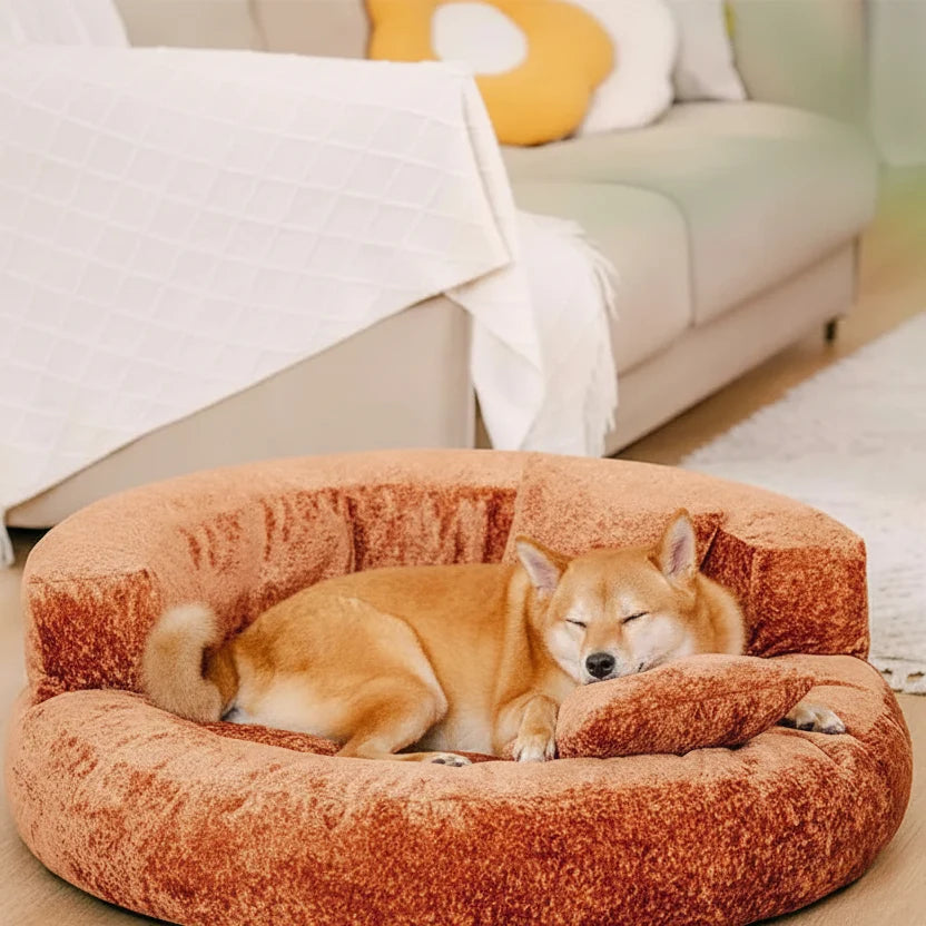 DREAMTAIL – Lit pour animaux en forme de donut avec coussin pour un confort quotidien