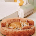 DREAMTAIL – Lit pour animaux en forme de donut avec coussin pour un confort quotidien