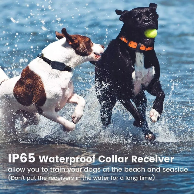Collier Électrique pour Dressage de Chien – Sûr, Efficace avec Télécommande