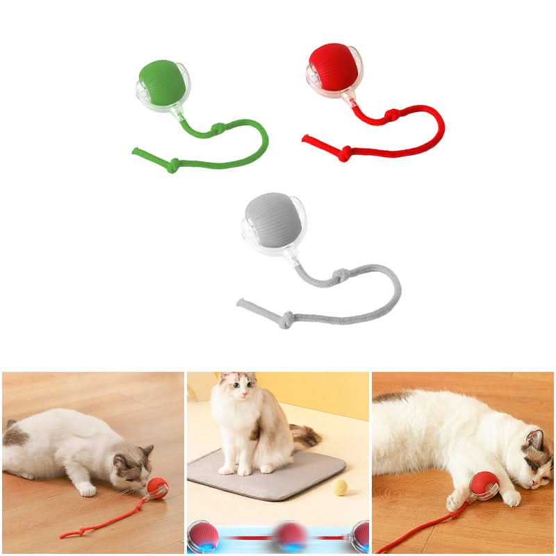 Jouet rebondissant pour chats actifs et curieux