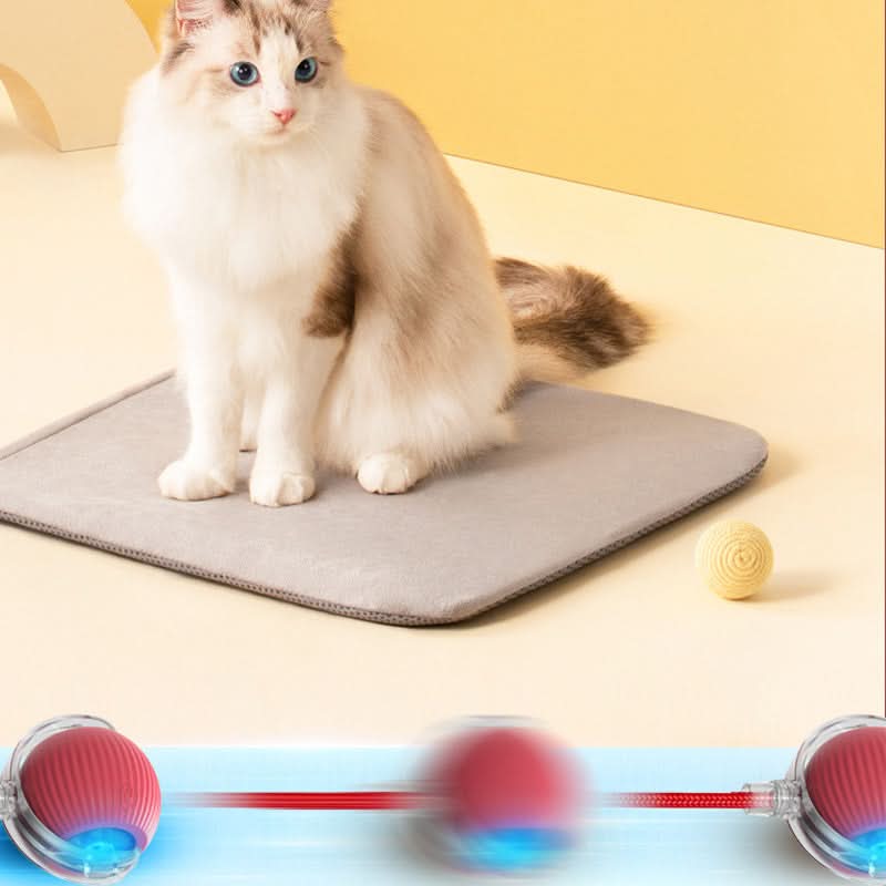 Jouet rebondissant pour chats actifs et curieux