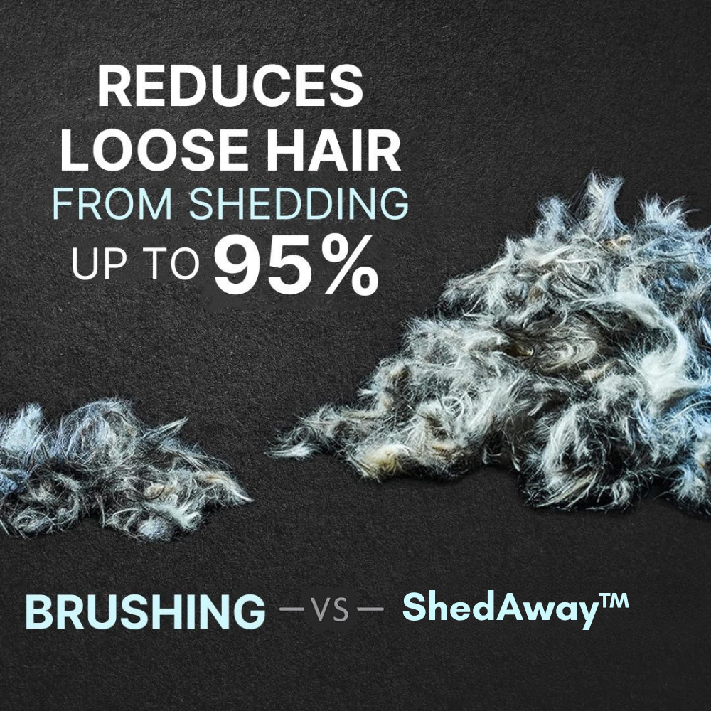 50% de réduction | ShedAway™ | Prenez soin du pelage de votre animal de compagnie de manière efficace et sans stress