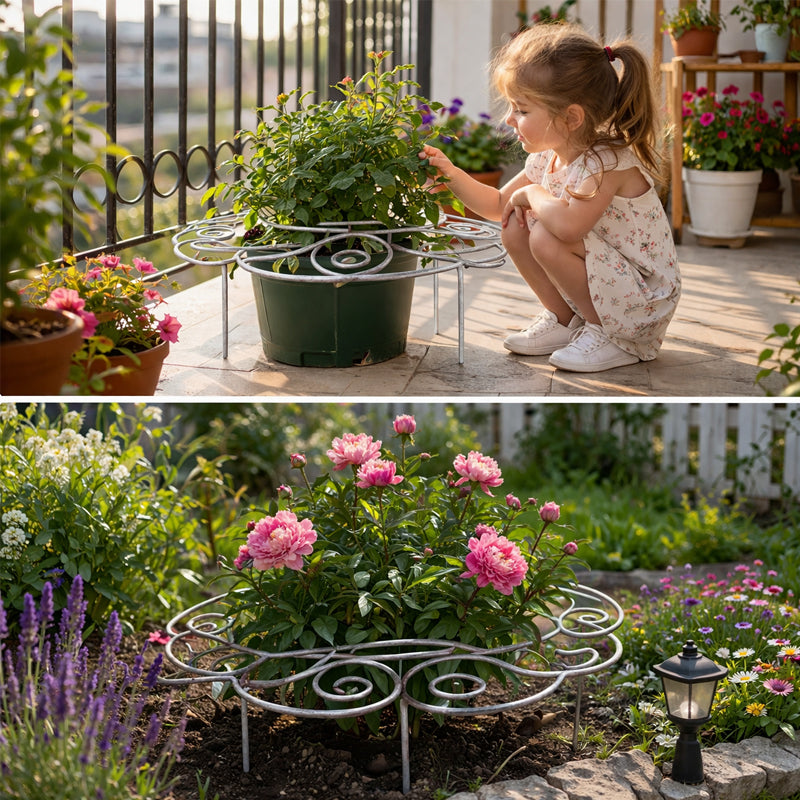 BloomSupport™ | Support de plantes discret pour des fleurs droites et saines