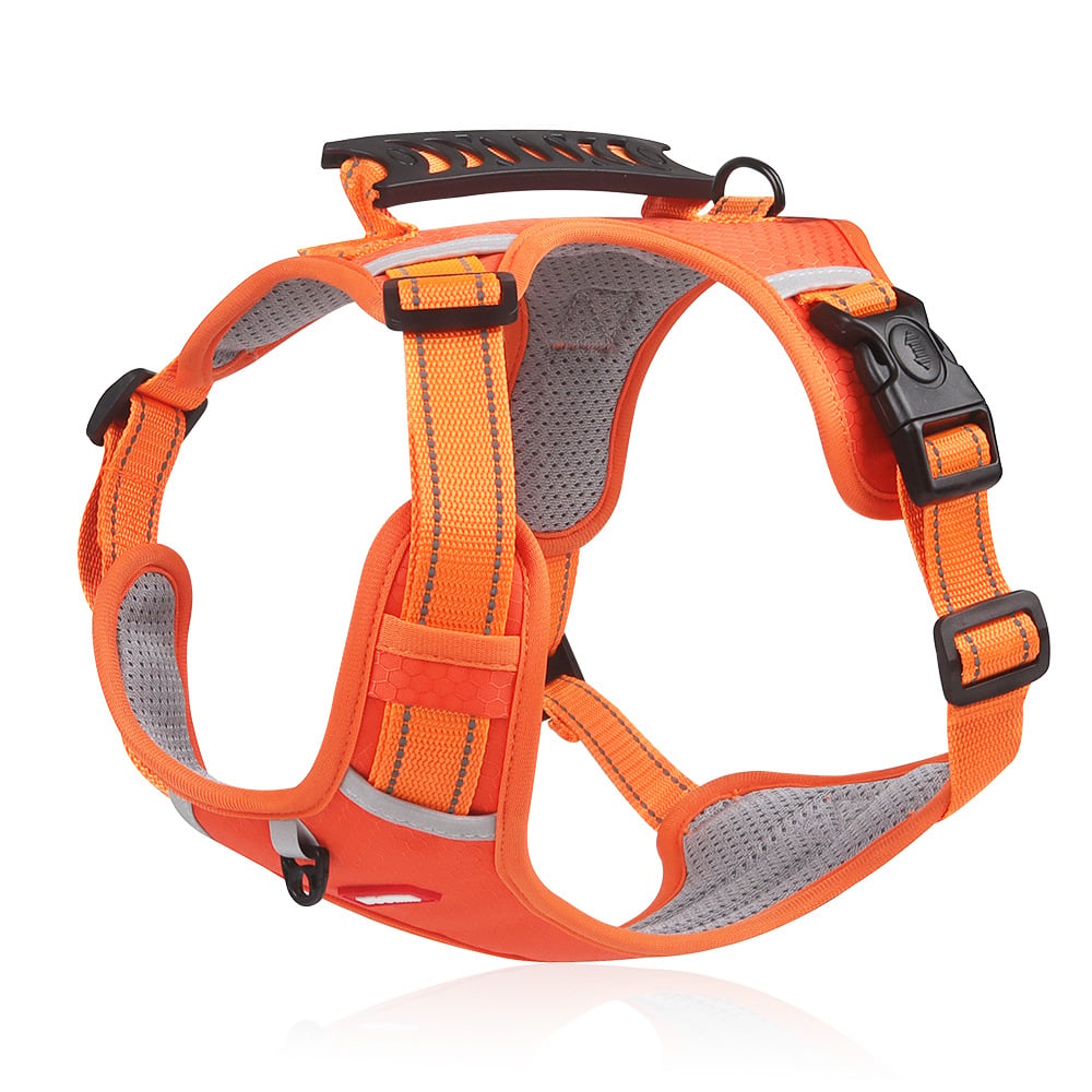 💥Vente de liquidation 49 % DE RABAIS🐕Harnais anti-traction pour animaux de compagnie