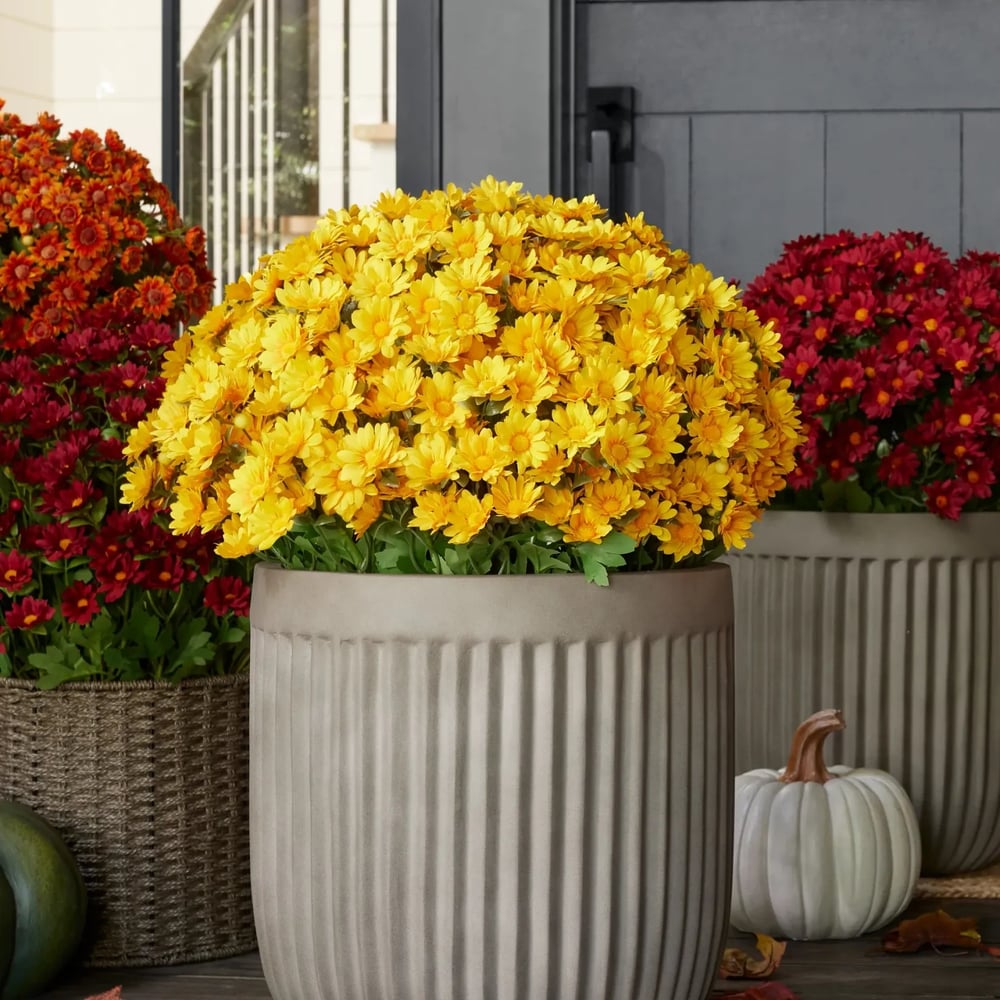 Chrysanthèmes artificiels | Résistants aux UV | Décoration d'automne pour l'extérieur | Tissu en soie mélangée réaliste