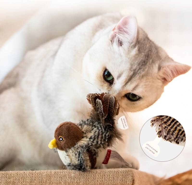Stimulez l'instinct naturel de votre chat
