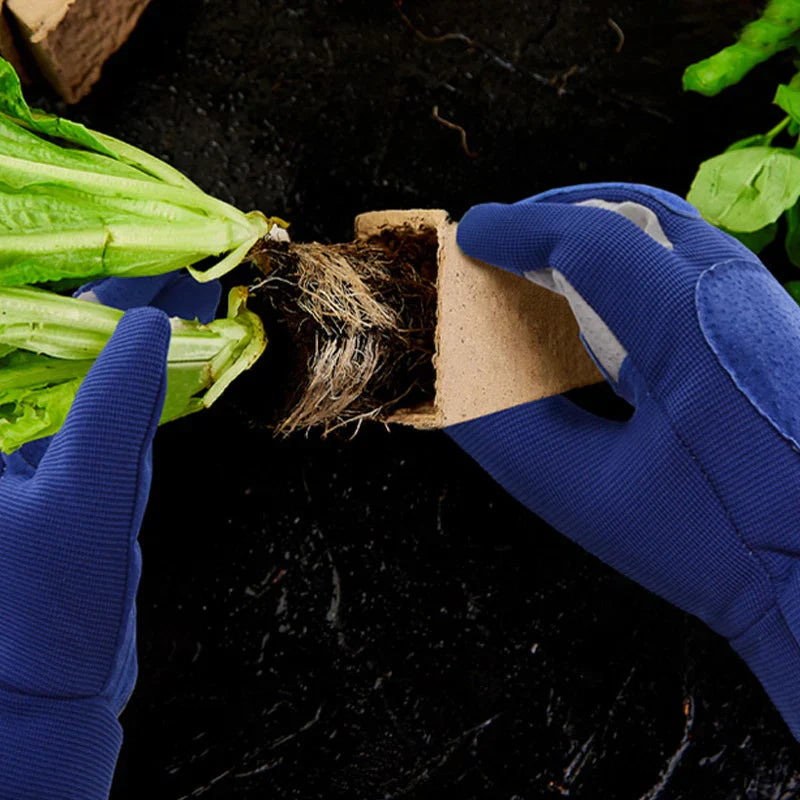 AntiStachel – Protection supérieure contre les coupures et les égratignures lors du jardinage