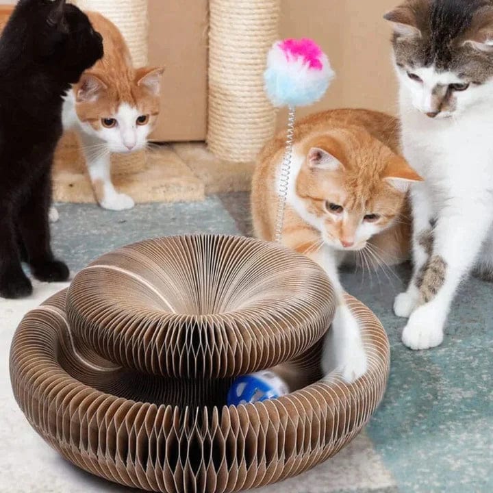 50% de réduction | PurrPlay WonderBall [Dernier jour de réduction]