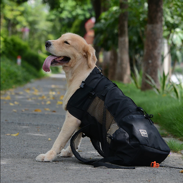 Sac à dos pour chiens