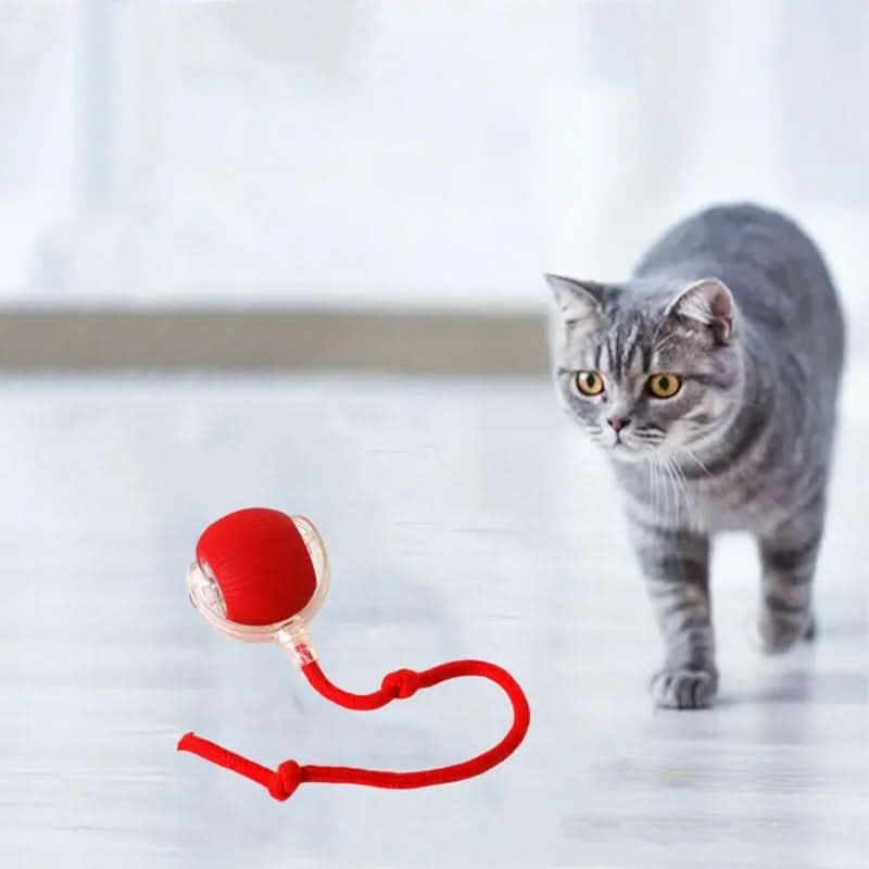 Jouet rebondissant pour chats actifs et curieux